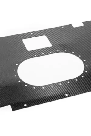 Grab Now Radium Engineering Carbon Fiber Fuel Cell Lid - 10/14 Gallon