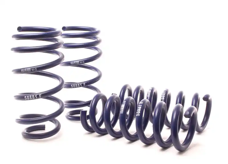 H&R 11-14 Dodge Charger RT (AWD) Max/Plus V8 Sport Spring Save Now