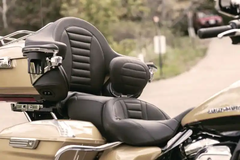 Clearance Mustang 08-21 Harley Electra Glide Std, Rd Glide ,Rd King ,Str Glide Super Touring Arm Wrap - Black