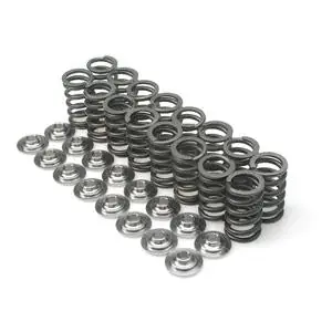 Brian Crower Dodge SRT-4/PT Cruiser (Triple Groove Keeper/Valve) Single Spring & Titanium Retainer K Editor’s Pick