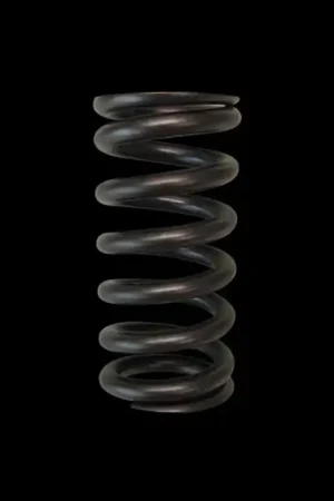 Brian Crower Toyota 2ZZFE Single Valve Spring Super Sale