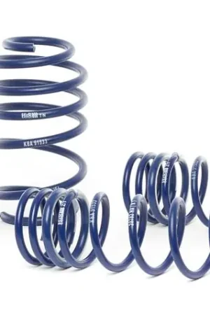 H&R 14-19 Ford Focus SE/SEL/Titanium Sedan/5-Door Sport Spring Special Discount