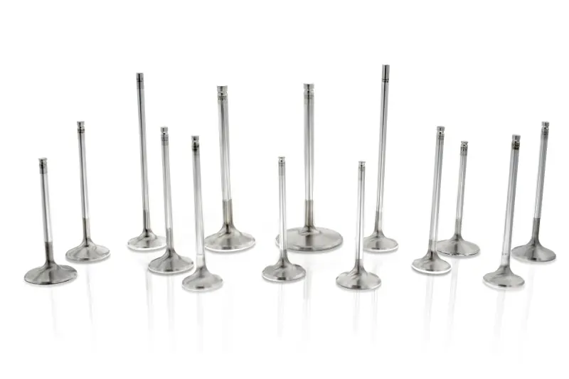 Ferrea Acura/Honda 5.5mm Viton Hi-Temp Exhaust Valve Stem Seal - Set of 8 Flash Sale