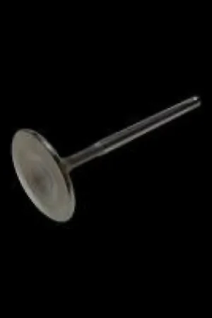 Brian Crower Subaru EJ205 / EJ257 STD Size STD Tip (36mm) Exhaust Valve (Single Valve) Express Delivery