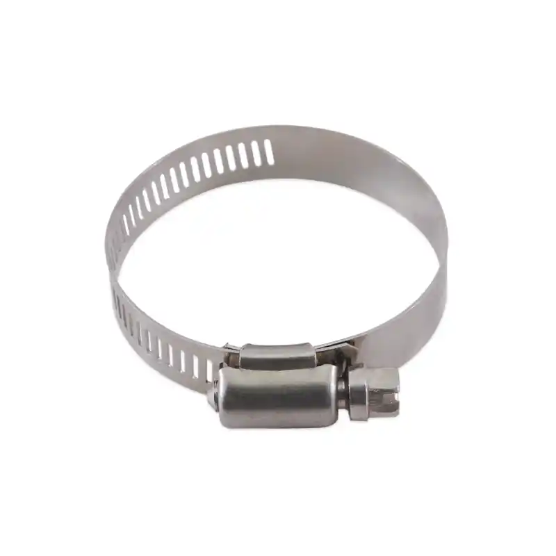 Cheap MM Worm Gear Clamps