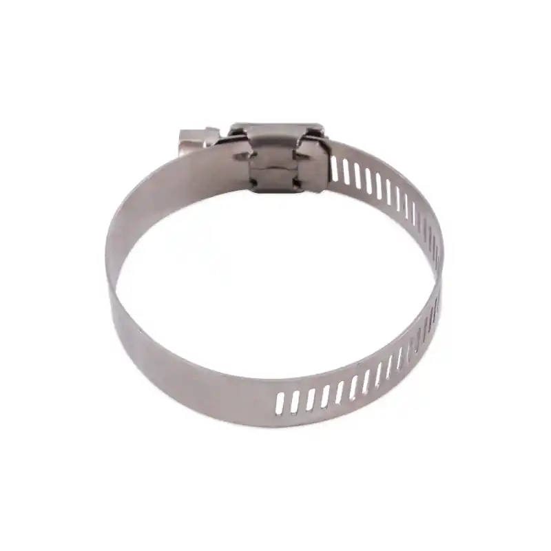 Budget MM Worm Gear Clamps