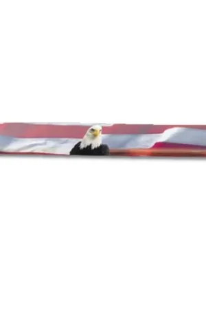 Save Now STA Vigilante Protector Flag