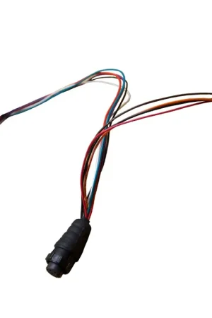 AM Accessories Free Returns